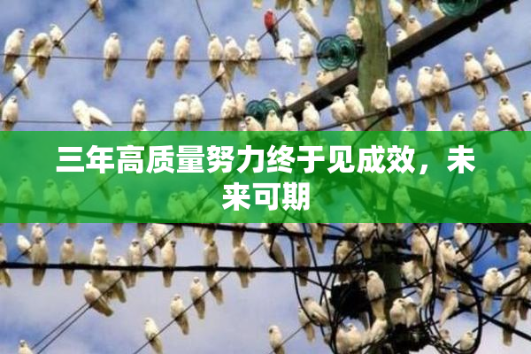 三年高质量努力终于见成效，未来可期