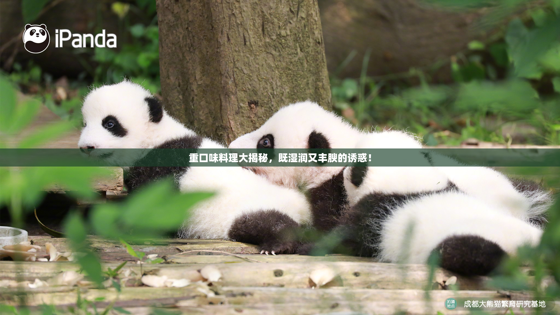 重口味料理大揭秘，既湿润又丰腴的诱惑！