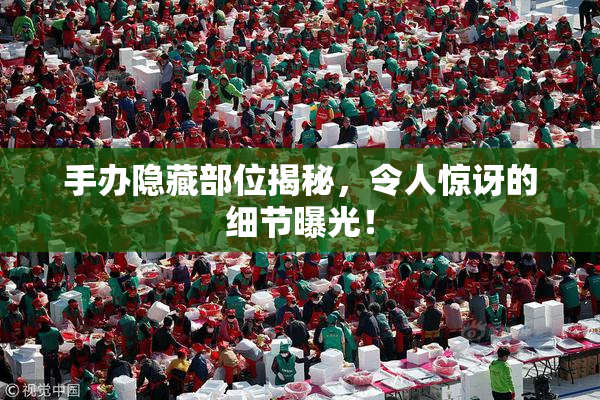 手办隐藏部位揭秘，令人惊讶的细节曝光！