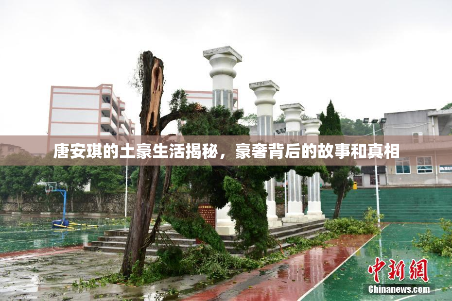 唐安琪的土豪生活揭秘，豪奢背后的故事和真相