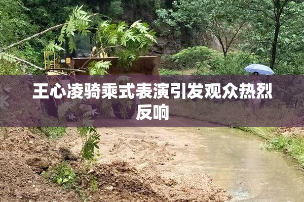 王心凌骑乘式表演引发观众热烈反响