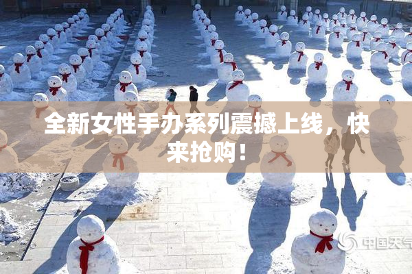 全新女性手办系列震撼上线，快来抢购！