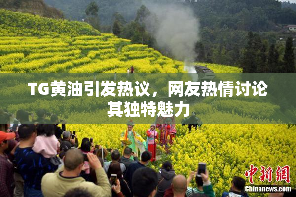 TG黄油引发热议，网友热情讨论其独特魅力
