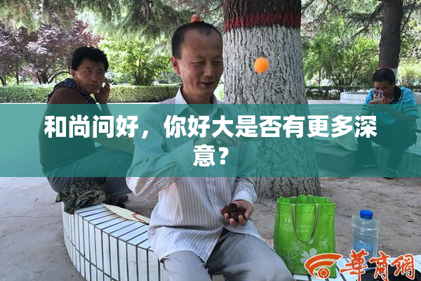 和尚问好，你好大是否有更多深意？