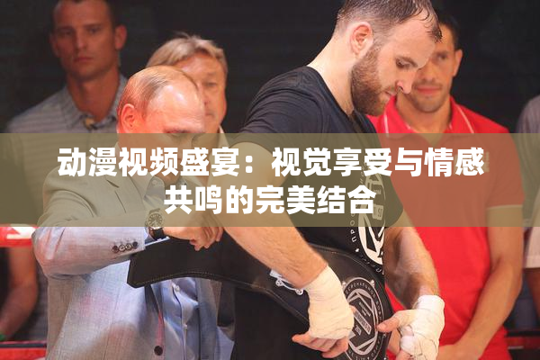 动漫视频盛宴：视觉享受与情感共鸣的完美结合
