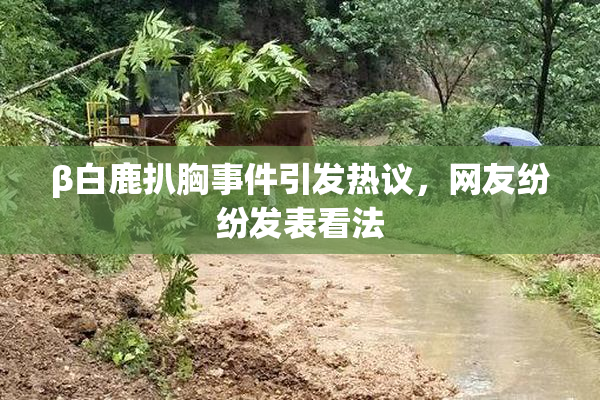 β白鹿扒胸事件引发热议，网友纷纷发表看法