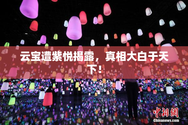 云宝遭紫悦揭露，真相大白于天下！