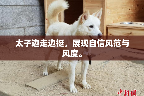 太子边走边挺，展现自信风范与风度。