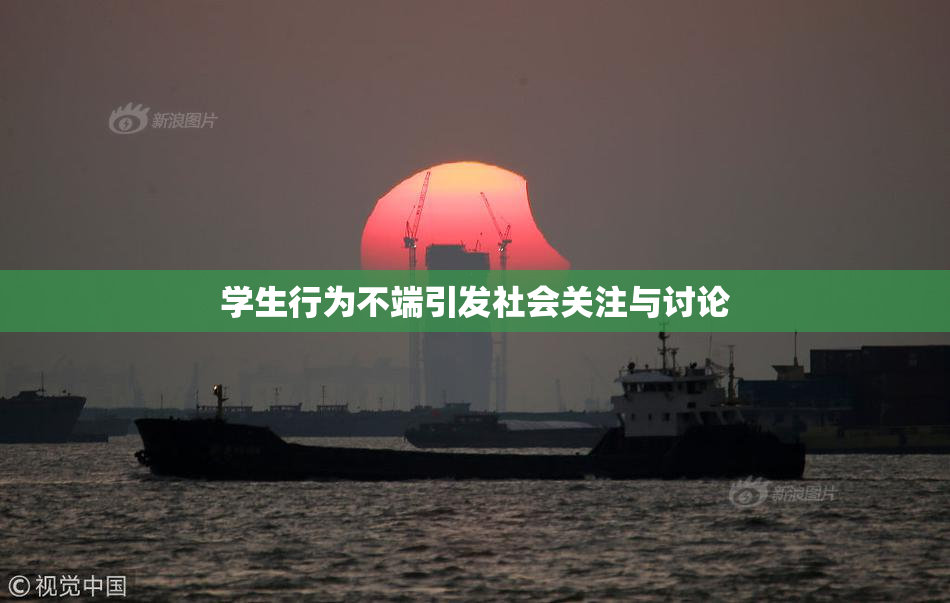 学生行为不端引发社会关注与讨论