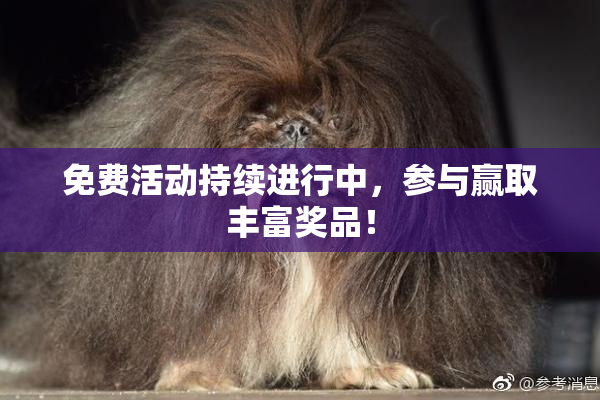 免费活动持续进行中，参与赢取丰富奖品！