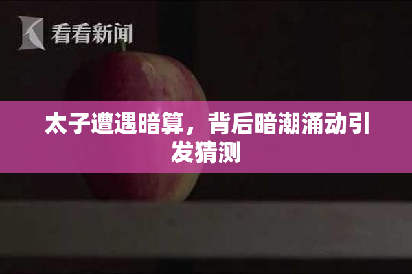 太子遭遇暗算，背后暗潮涌动引发猜测