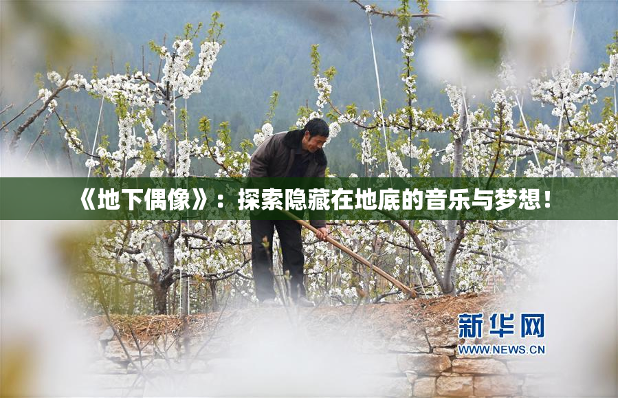 《地下偶像》：探索隐藏在地底的音乐与梦想！
