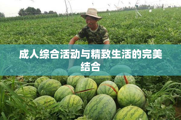 成人综合活动与精致生活的完美结合