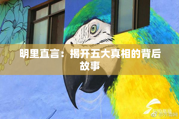 明里直言：揭开五大真相的背后故事