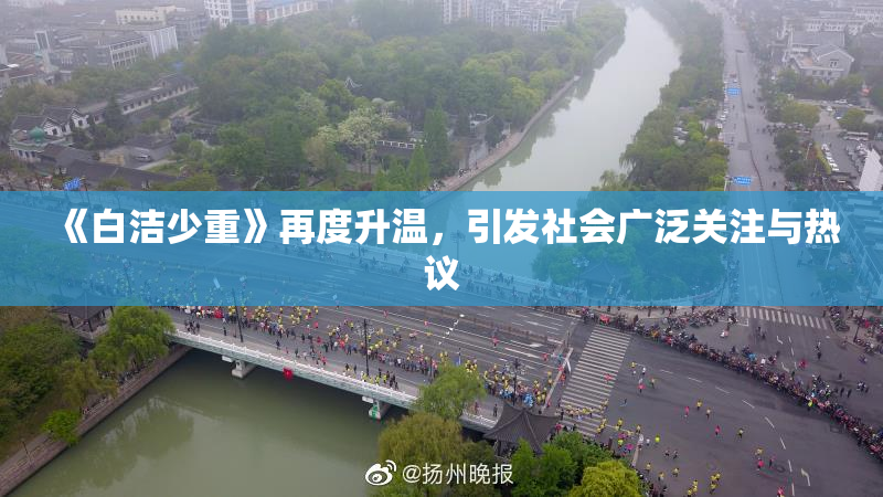 《白洁少重》再度升温，引发社会广泛关注与热议