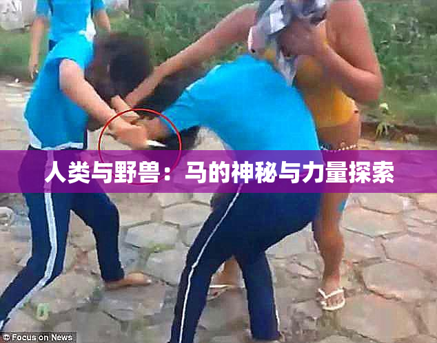 人类与野兽：马的神秘与力量探索