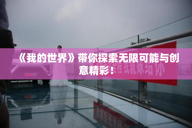 《我的世界》带你探索无限可能与创意精彩！