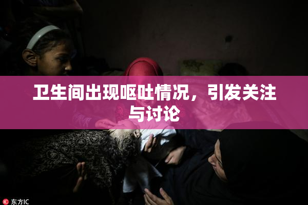 卫生间出现呕吐情况，引发关注与讨论