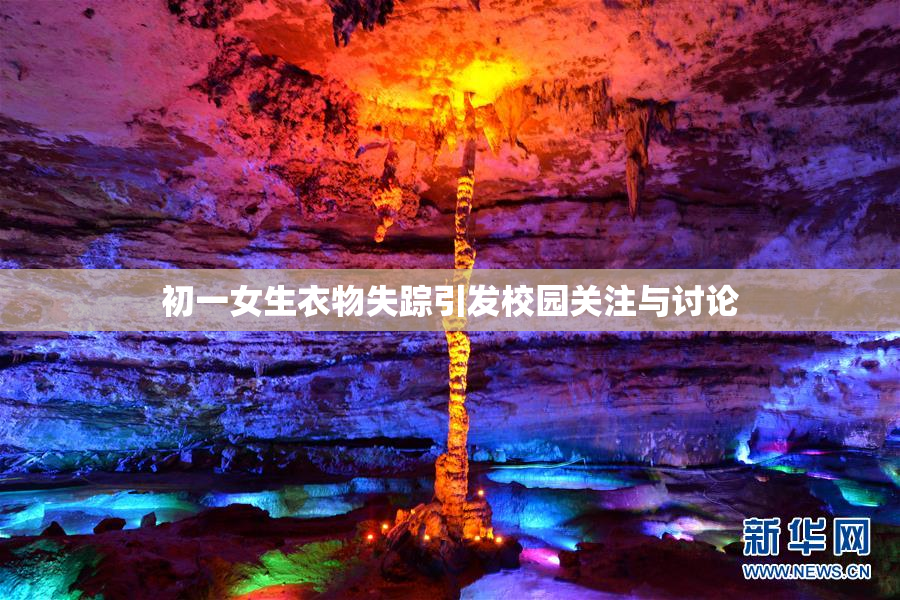 初一女生衣物失踪引发校园关注与讨论