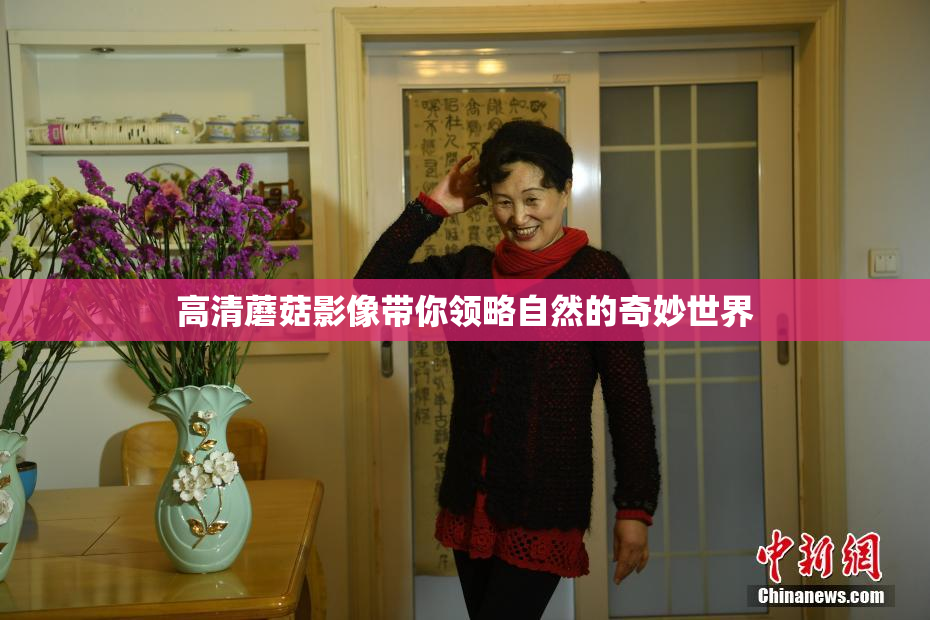 高清蘑菇影像带你领略自然的奇妙世界