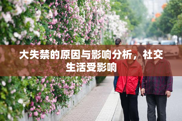 大失禁的原因与影响分析，社交生活受影响
