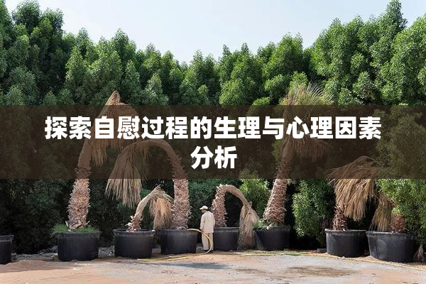 探索自慰过程的生理与心理因素分析