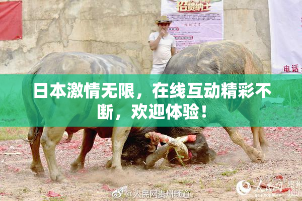 日本激情无限，在线互动精彩不断，欢迎体验！
