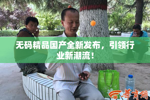 无码精品国产全新发布，引领行业新潮流！