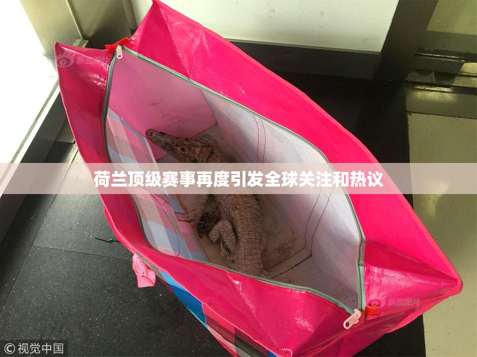 荷兰顶级赛事再度引发全球关注和热议