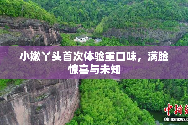 小嫩丫头首次体验重口味，满脸惊喜与未知