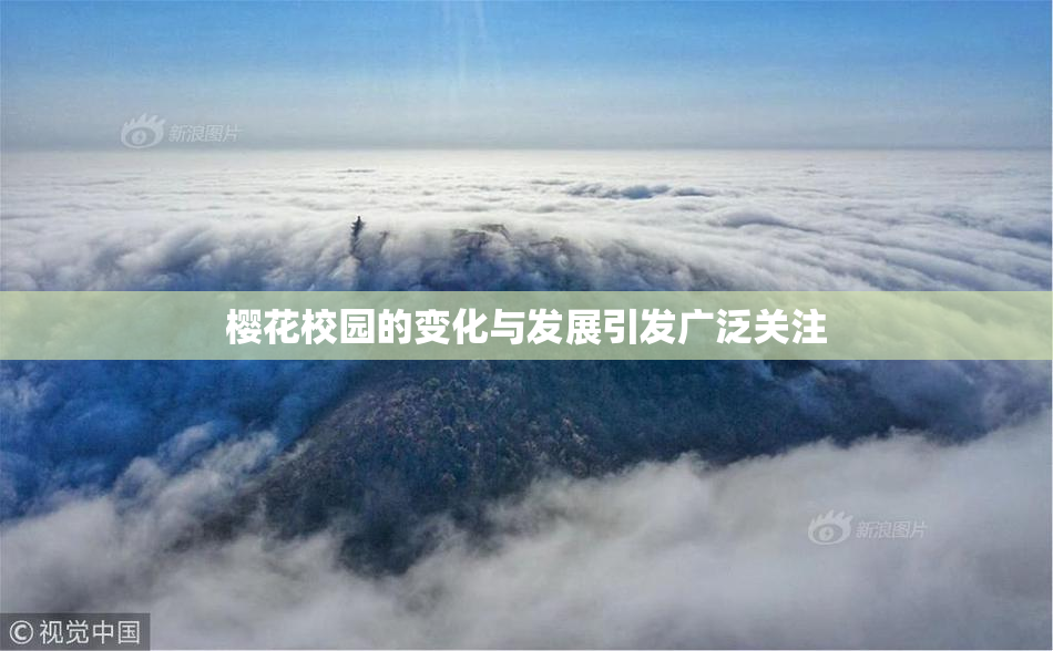 樱花校园的变化与发展引发广泛关注