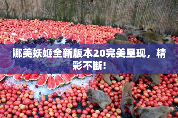 娜美妖姬全新版本20完美呈现，精彩不断!