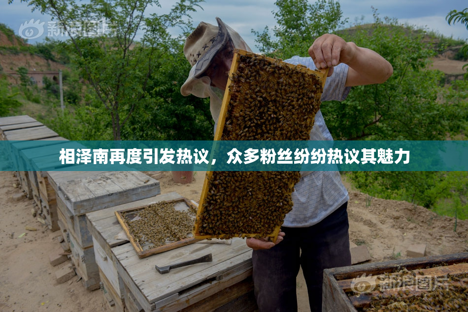 相泽南再度引发热议，众多粉丝纷纷热议其魅力