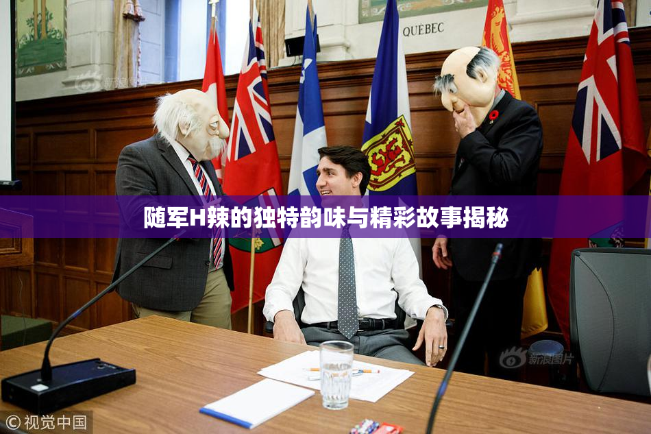 随军H辣的独特韵味与精彩故事揭秘
