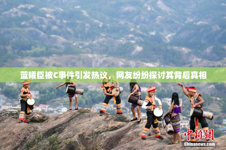 蓝曦臣被C事件引发热议，网友纷纷探讨其背后真相