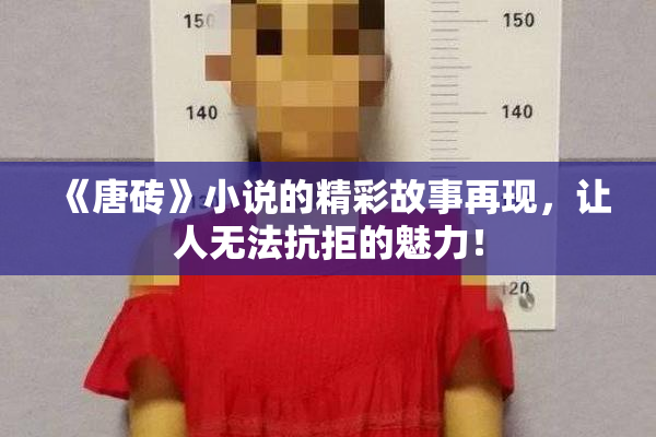 《唐砖》小说的精彩故事再现，让人无法抗拒的魅力！