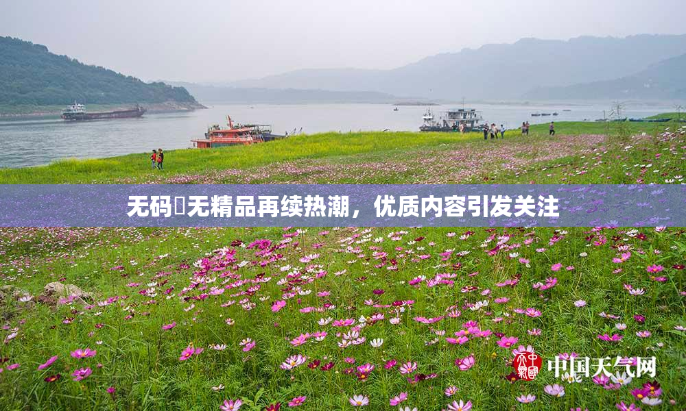 无码囯无精品再续热潮，优质内容引发关注