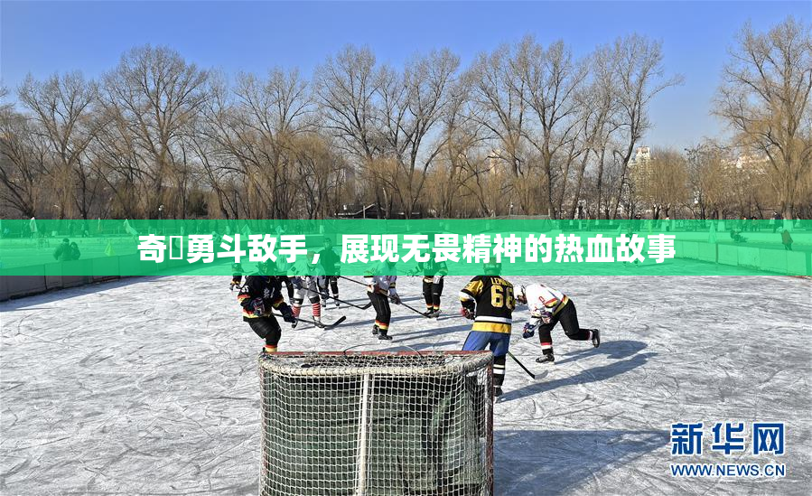 奇犽勇斗敌手，展现无畏精神的热血故事