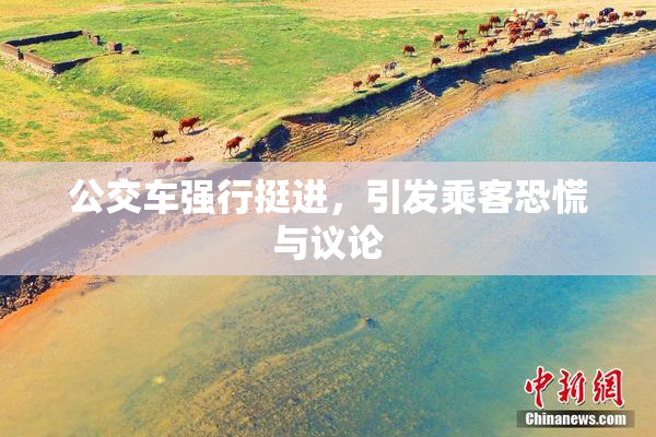 公交车强行挺进，引发乘客恐慌与议论