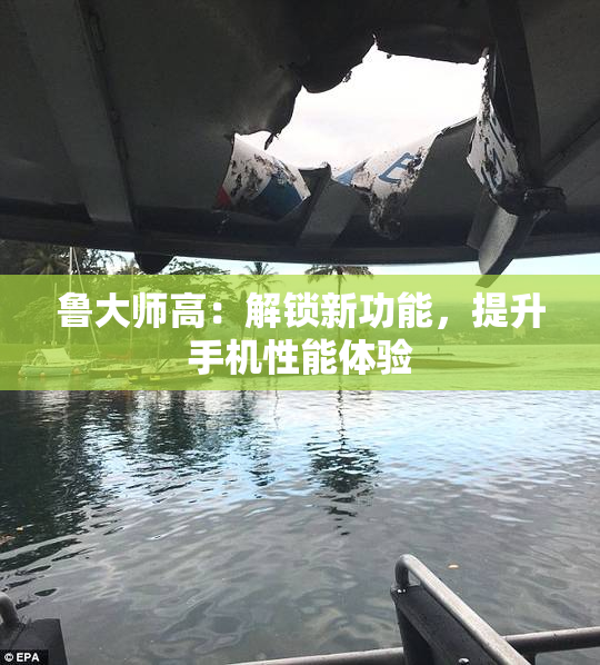 鲁大师高：解锁新功能，提升手机性能体验