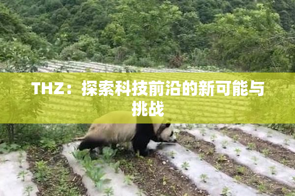 THZ：探索科技前沿的新可能与挑战