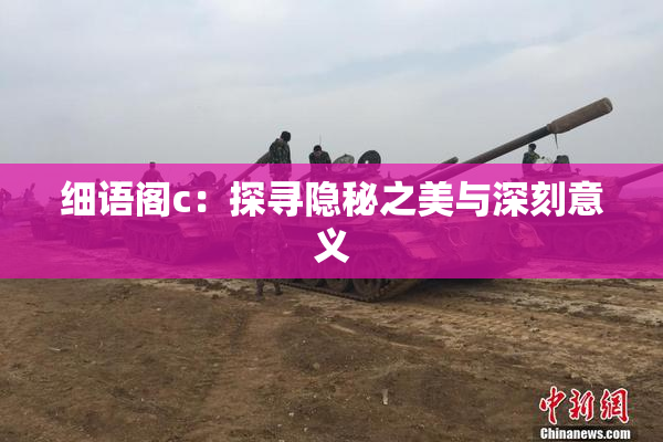 细语阁c：探寻隐秘之美与深刻意义