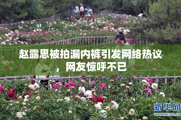赵露思被拍漏内裤引发网络热议，网友惊呼不已