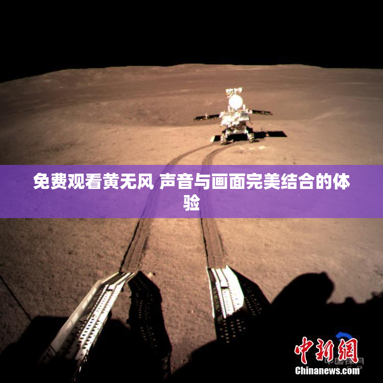 免费观看黄无风 声音与画面完美结合的体验
