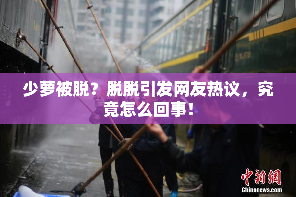 少萝被脱？脱脱引发网友热议，究竟怎么回事！