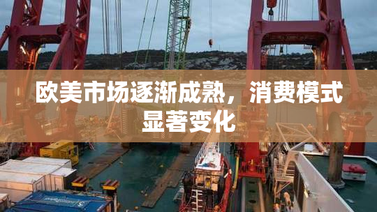 欧美市场逐渐成熟，消费模式显著变化