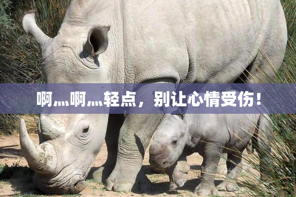 啊灬啊灬轻点，别让心情受伤！