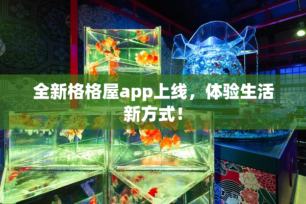 全新格格屋app上线，体验生活新方式！