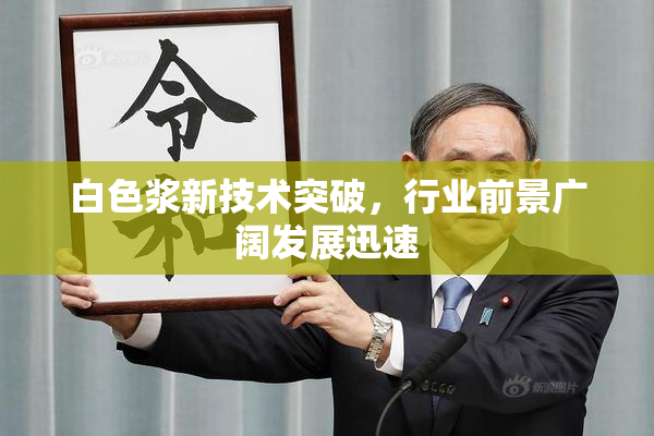 白色浆新技术突破，行业前景广阔发展迅速