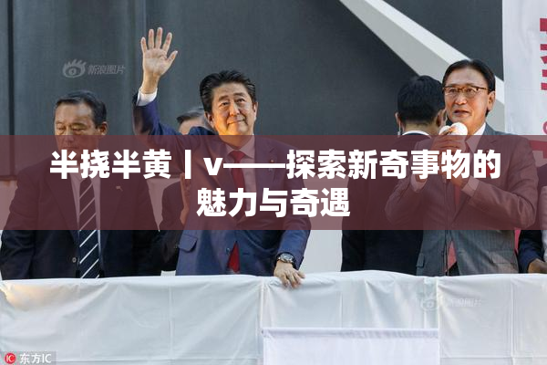 半挠半黄丨v——探索新奇事物的魅力与奇遇